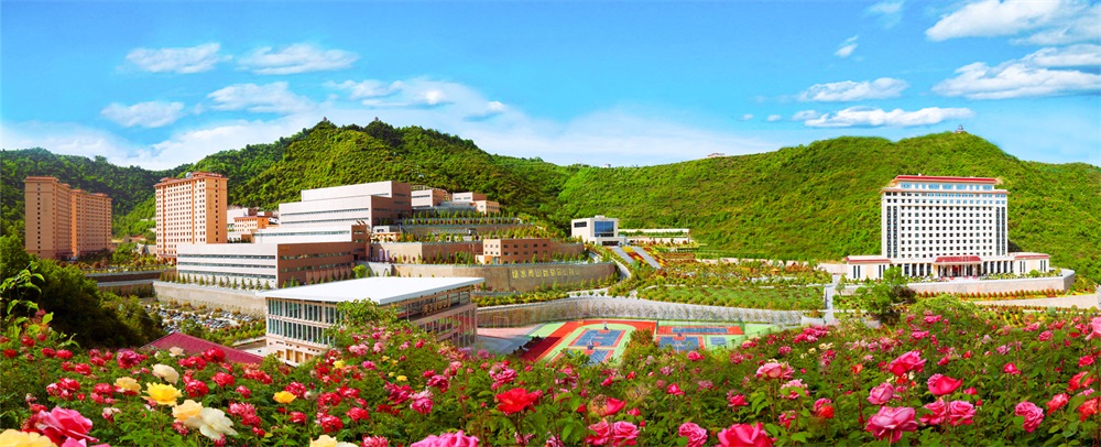 三季有花、四季常青的金徽礦區(qū)-p2.jpg