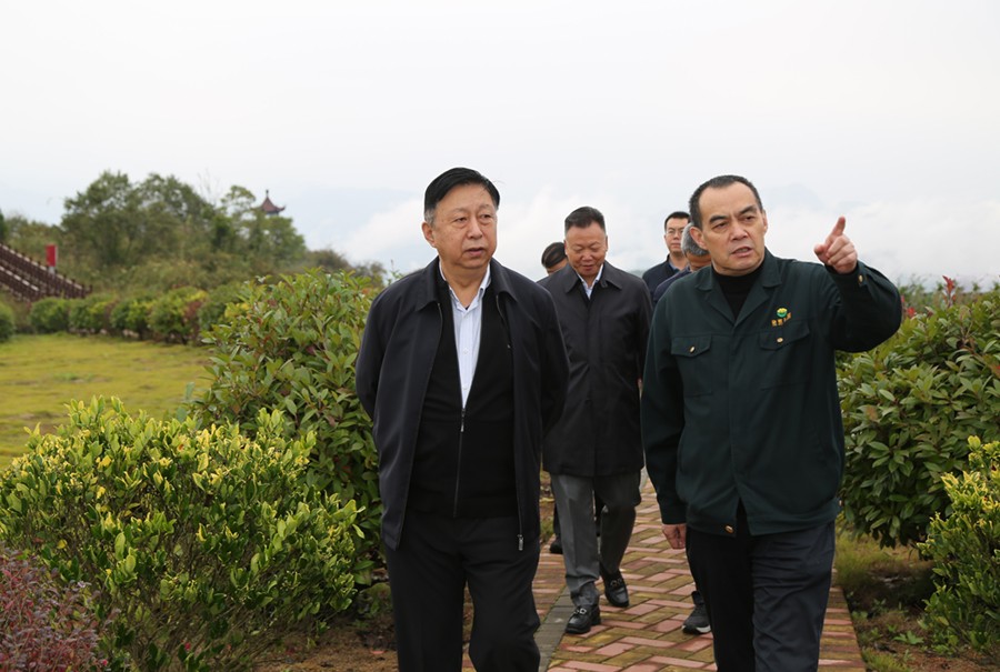 19-2021年10月，原國土資源部副部長汪民蒞臨公司調研。.jpg