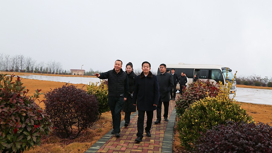 45-2020年12月，省高級人民法院黨組成員、副院長任建國蒞臨金徽股份調研知識產(chǎn)權司法保護工作。.jpg
